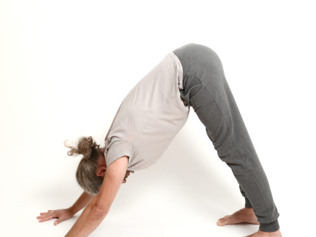 07 Adho-Mukha-Svanasana-nach-unten-gestreckter-Hund-Sonnengruß-B